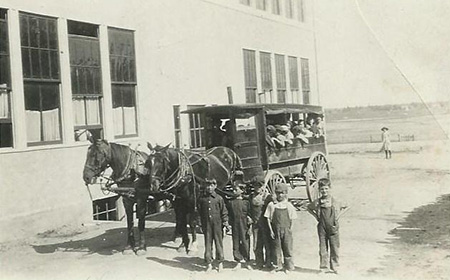 horse-bus